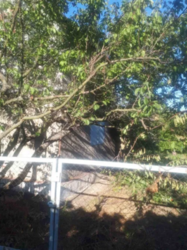 Продается дом Сумская, Сумы, Заречный, ул.Нефтянник,2 фото 3 Продается дом Сумская, Сумы, Заречный, ул.Нефтянник,2 фото 3