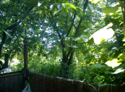 Дом, участок, машина фото 7 Дом, участок, машина фото 7