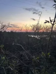 Продается дом Сумская, Сумы, Заречный, Козацький пр-т, с/т Авіатор фото 4 Продается дом Сумская, Сумы, Заречный, Козацький пр-т, с/т Авіатор фото 4