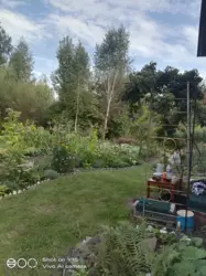 Продается дом Сумская, Сумы, Заречный, Олдыш с/т Роддом фото 5 Продается дом Сумская, Сумы, Заречный, Олдыш с/т Роддом фото 5