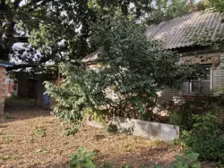 Продается дом Сумская, Липоводолинский фото 5 Продается дом Сумская, Липоводолинский фото 5