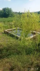 Продается дом с/т Чисті пруди, Сумы, Сумская, Заречный фото 8 Продается дом с/т Чисті пруди, Сумы, Сумская, Заречный фото 8