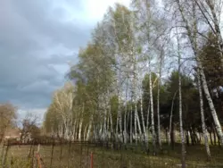 Продается дом Сумская, Сумы, Заречный, Римського-Корсакова, с/т Хімік-1 фото 3 Продается дом Сумская, Сумы, Заречный, Римського-Корсакова, с/т Хімік-1 фото 3