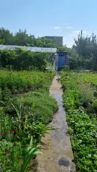 ��������� ��� ���������, ����, �������, �������� ���� 5