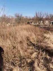 ��������� ��� ������������ ���� �/� ��������, ����, �������, ������������ ���� 5