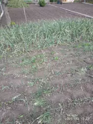 ��������� ��� ������������ ����, ����, �������, ������������ ���� 3