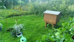 Продается дом Сумская, Сумы, Заречный, с/т Красносільський фото 8 Продается дом Сумская, Сумы, Заречный, с/т Красносільський фото 8