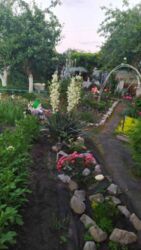 Продается дом Сумская, Сумский, Красное фото 11 Продается дом Сумская, Сумский, Красное фото 11