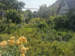 Продается дом Сумская, Сумы, Заречный, р-н Пришиба фото 5 Продается дом Сумская, Сумы, Заречный, р-н Пришиба фото 5