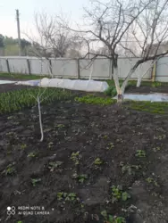   , , , -86, / , 47-  2