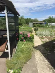 ��������� ��� ����, ������� ���� 4