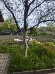 Продается дом Сумская, Сумы, Олдыш фото 3 Продается дом Сумская, Сумы, Олдыш фото 3