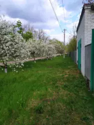 Продается дом Степановка, Сумский, Сумская фото 1 Продается дом Степановка, Сумский, Сумская фото 1