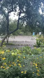 ��������� ��� �/� ճ��-3, ����������, �������, ������� ���� 5