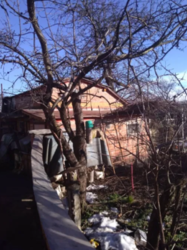 Дом, участок, машина фото 13 Дом, участок, машина фото 13