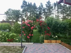 Продается дом Бишкинь, Лебединский, Сумская фото 12 Продается дом Бишкинь, Лебединский, Сумская фото 12