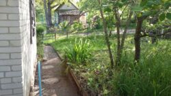 Продается дом Сумская, Сумы, Заречный, Аеропорт, Авіатор фото 11 Продается дом Сумская, Сумы, Заречный, Аеропорт, Авіатор фото 11