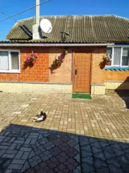 ��������� ��� �������, �������, �������� ���� 3