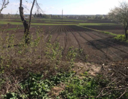 Продается дом Сумская, Сумский, Красное фото 3 Продается дом Сумская, Сумский, Красное фото 3