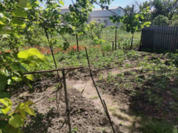 Продается дом Сумская, Сумы, Ковпаковский, проезд Дарвина фото 3 Продается дом Сумская, Сумы, Ковпаковский, проезд Дарвина фото 3