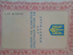 ��������� ��� ������ �����, 61, ����, �������, �������� ���� 1