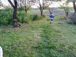 Продается дом Ульяновка, Белополье, Сумская фото 4 Продается дом Ульяновка, Белополье, Сумская фото 4