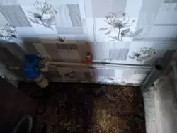 Продается дом Ульяновка, Белополье, Сумская фото 5 Продается дом Ульяновка, Белополье, Сумская фото 5