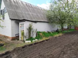 Продается дом Степановка, Сумский, Сумская фото 5 Продается дом Степановка, Сумский, Сумская фото 5