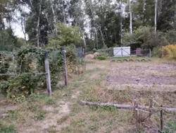 Продается дом Олдиш, Сумы, Сумская, Заречный фото 17 Продается дом Олдиш, Сумы, Сумская, Заречный фото 17