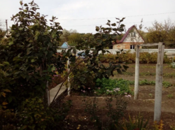 Продается дом Сумская, Сумский фото 12 Продается дом Сумская, Сумский фото 12