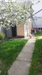 ��������� ��� ����������� �-� �����������, ����, �������, ������������ ���� 4