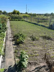 ��������� ��� �������, ����, ��������, �����, ��� ������ �/� ���-1 ���� 3