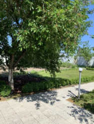 Продается дом Сумская, Сумы фото 8 Продается дом Сумская, Сумы фото 8