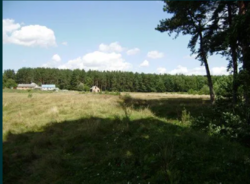 С. Писаревка, Сумская область, Сумской район, ветхий дом, 34 сотки фото 2 С. Писаревка, Сумская область, Сумской район, ветхий дом, 34 сотки фото 2