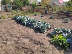 Продается дом Сумская, Сумы, Роменська вул. фото 7 Продается дом Сумская, Сумы, Роменська вул. фото 7