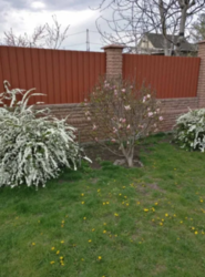 Продается дом Сумская, Сумы, Заречный, ул. Депутатская фото 14 Продается дом Сумская, Сумы, Заречный, ул. Депутатская фото 14