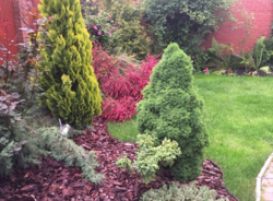 Продается дом Сумская, Сумы фото 19 Продается дом Сумская, Сумы фото 19