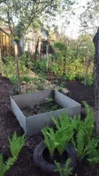 Продается дом Сумская, Сумы, Заречный, Хіммістечко фото 3 Продается дом Сумская, Сумы, Заречный, Хіммістечко фото 3