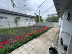 ��������� ��� �-� ������ ѳ����, ����, �������, ������������ ���� 2