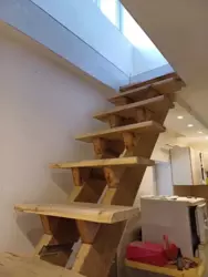 Дача в с/т Бездрицький фото 6 Дача в с/т Бездрицький фото 6