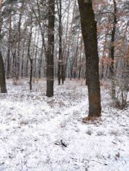 Продается дом Сумская, Сумы, Барановка фото 5 Продается дом Сумская, Сумы, Барановка фото 5