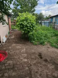 Продается дом Сумская, Сумы, Ковпаковский, р-н Добровільної фото 12 Продается дом Сумская, Сумы, Ковпаковский, р-н Добровільної фото 12