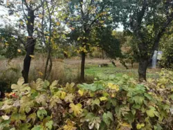 Продается дом Хімік с/т Строітель-1, Сумы, Сумская, Заречный фото 7 Продается дом Хімік с/т Строітель-1, Сумы, Сумская, Заречный фото 7