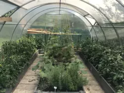 Продается дом Сумская, Сумы, Ковпаковский, за Косівщиною фото 8 Продается дом Сумская, Сумы, Ковпаковский, за Косівщиною фото 8