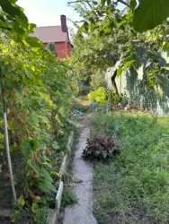 ��������� ��� ������������, ����, �������, ������������ ���� 16