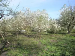 ��������� ��� ������, �������, ������� ���� 4