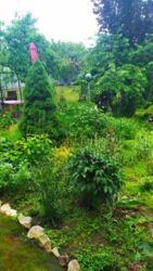 Продается дом Сумская, Сумский, Красное фото 10 Продается дом Сумская, Сумский, Красное фото 10