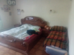 Продается дом Сумская, Сумский, Сад фото 15 Продается дом Сумская, Сумский, Сад фото 15