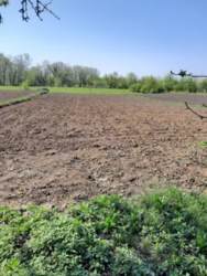 Продается дом Сумская, Сумский фото 6 Продается дом Сумская, Сумский фото 6