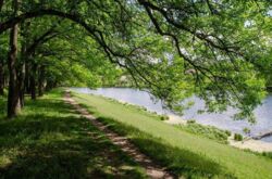 Продается дом Сумская, Сумы фото 8 Продается дом Сумская, Сумы фото 8